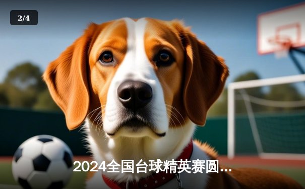 2024全国台球精英赛圆满落幕，新星王浩力克老将夺冠 - 2